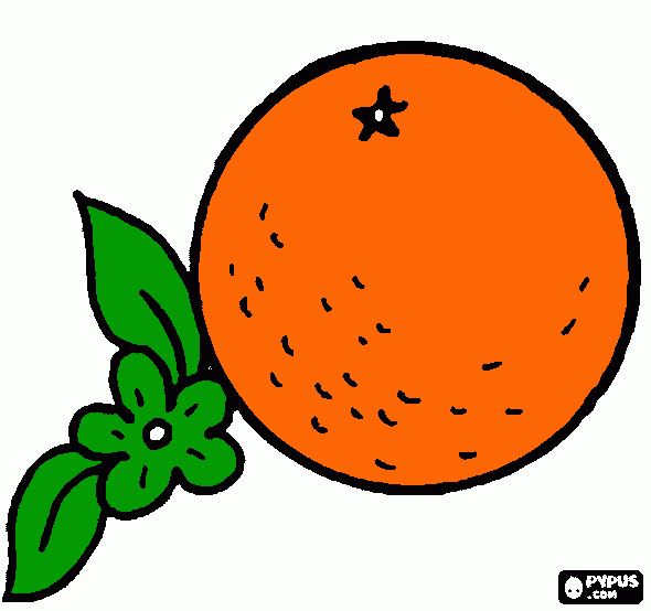 appelsien kleurplaat