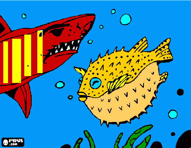 haai met kogelvis kleurplaat