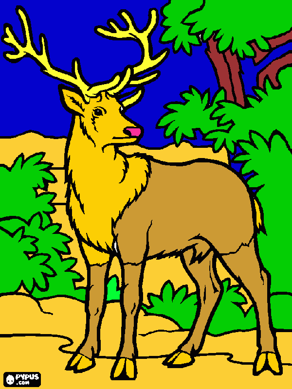 hert tekening kleurplaat