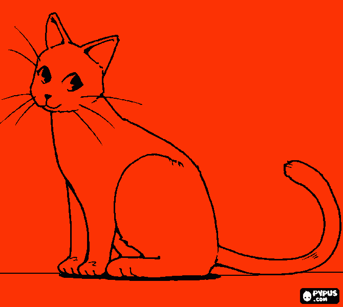 Oranje kat kleurplaat
