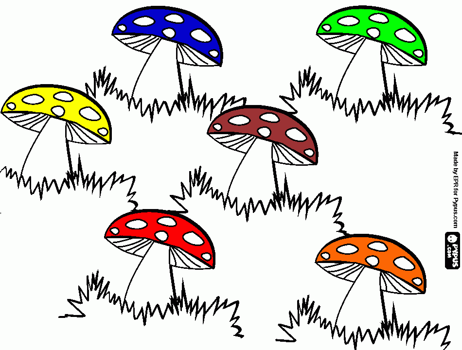 paddenstoel kleurplaat