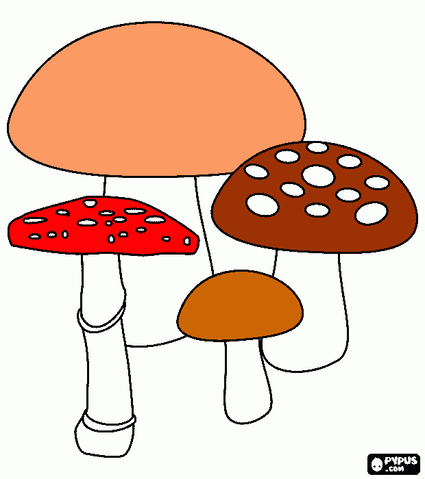 paddenstoelen kleurplaat