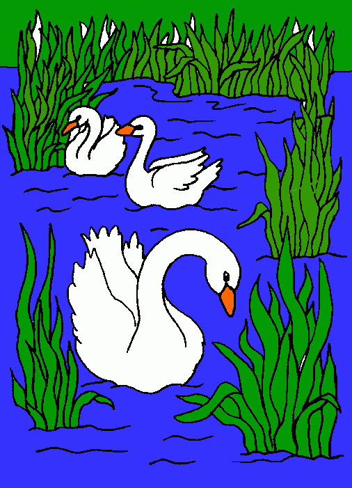 zwanen kleurplaat