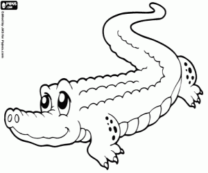 Alligator kleurplaat