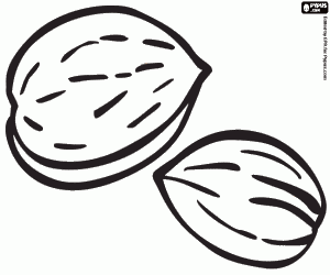 Amandelen, culinair ingrediënt kleurplaat