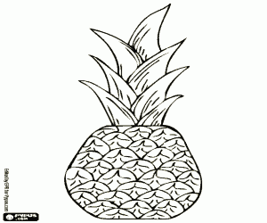 Een ananas, een tropisch fruit kleurplaat
