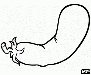 Aubergine, een eetbare vruchten kleurplaat