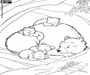 Beer welpen met hun moeder kleurplaat