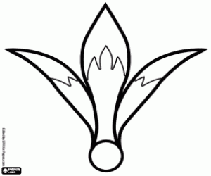 Een bloem Amaryllus kleurplaat