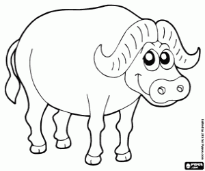 Buffel kleurplaat