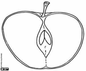 De binnenkant van een appel kleurplaat