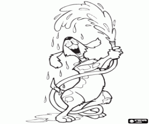 De hond speelt met water kleurplaat