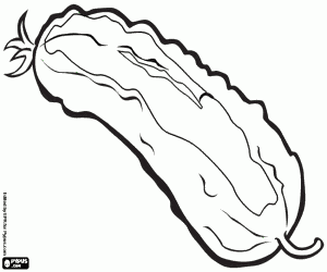 De komkommer is zeer hydraterend kleurplaat