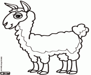De Lama, het dier van de Inca 's kleurplaat