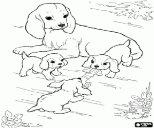 De moeder hond met haar pups kleurplaat