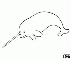 De narwhal met zijn zwaard kleurplaat