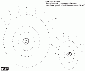De ogen op de stippellijn kleurplaat