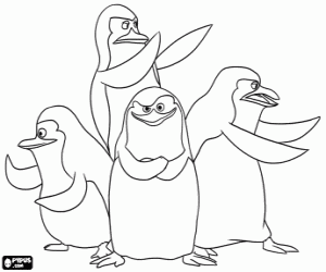 De Pinguins van Madagascar kleurplaat