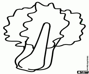 De snijbiet, een eetbare plant kleurplaat