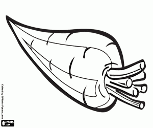 De wortel, een toegangspunt, een groente kleurplaat