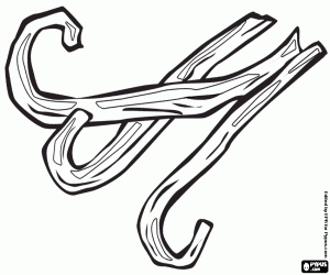 Drie peulen van vanille kleurplaat