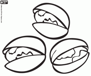 Drie pistachenoten in shell kleurplaat