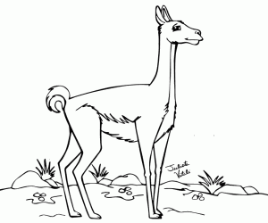 Een eenzame guanaco kleurplaat