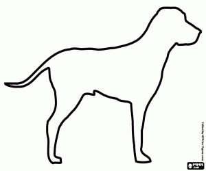 Engelse Pointer hond silhouet kleurplaat