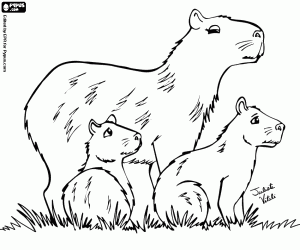 Familie van capibara's of waterzwijn kleurplaat