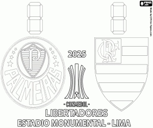 Finale Copa Libertadores 2025 kleurplaat