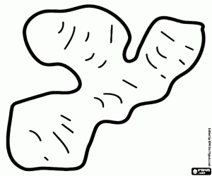 Gember, een wortelstok kleurplaat