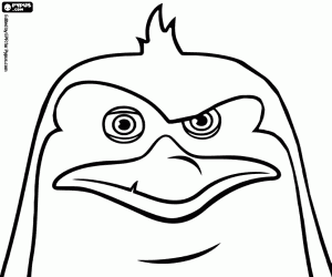 Gezicht van Rico, gekamd pinguïn kleurplaat