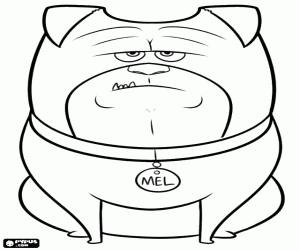 Een gezinshond, Mel kleurplaat