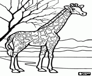 Giraffe in het landschap kleurplaat