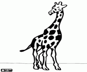 Een giraffe, vooraanzicht kleurplaat