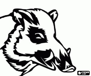 Hoofd van wild zwijn met slagtanden kleurplaat