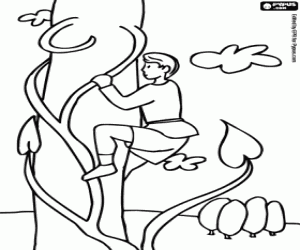 Jaak en de bonenstaak kleurplaat