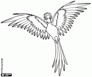 Jewel pronkt haar veren kleurplaat