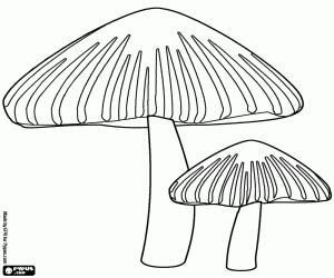 Kegel gevormd giftige paddestoelen kleurplaat