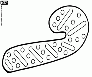 Kerst koekje als riet van het suikergoed kleurplaat