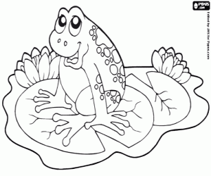 Een kikker op een waterlelie kleurplaat