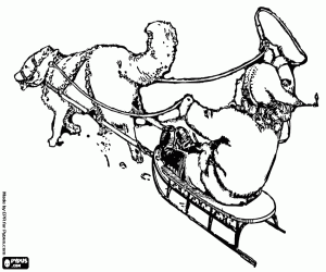 Kind op een slee met een husky kleurplaat