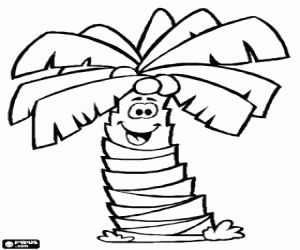 Kokospalm, palmboom met kokosnoten kleurplaat