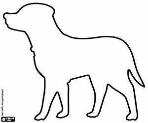 Labrador hond met kraag, silhouet kleurplaat