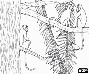 Lange staart apen op de boom kleurplaat