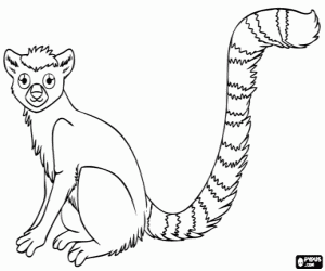Een lemur, eiland van Madagaskar kleurplaat