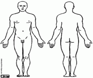 Het lichaam van een man kleurplaat
