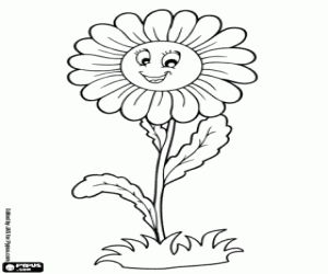 Een madeliefje, een bloem kleurplaat