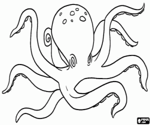 Een octopus, een mariene dier kleurplaat