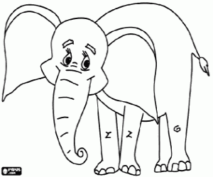 Olifant met grote oren kleurplaat